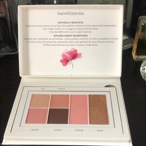 Bare Minerals eye+cheek palette.